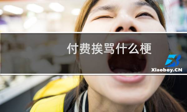 付费挨骂什么梗