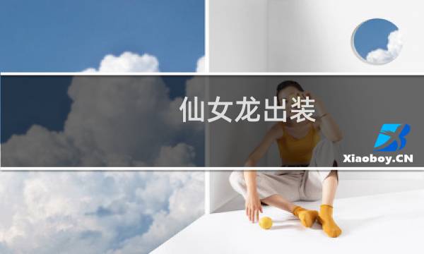 仙女龙出装图片
