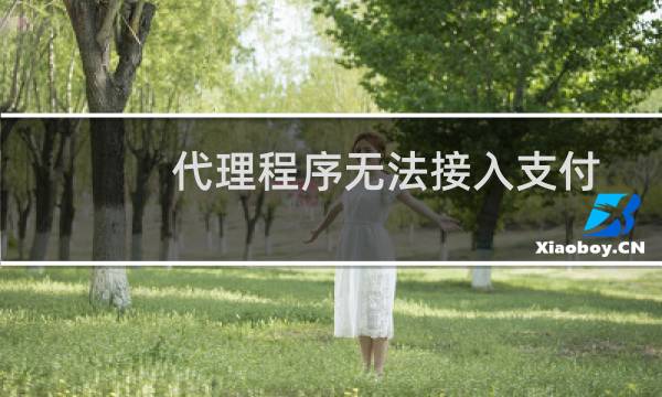 代理程序无法接入支付宝接口