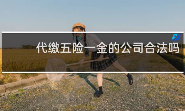 代缴五险一金的公司合法吗