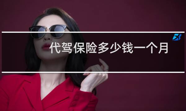 代驾保险多少钱一个月图片