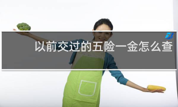 以前交过的五险一金怎么查