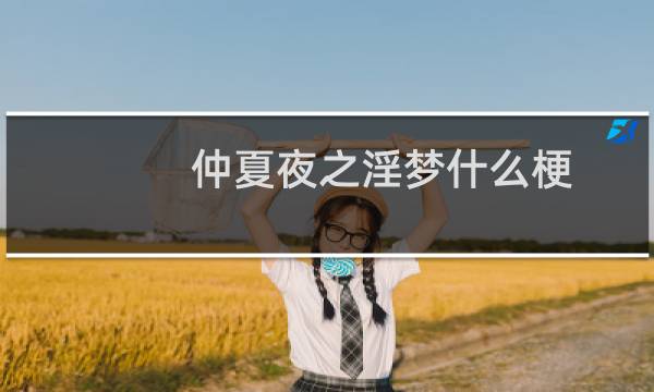 仲夏夜之淫梦什么梗