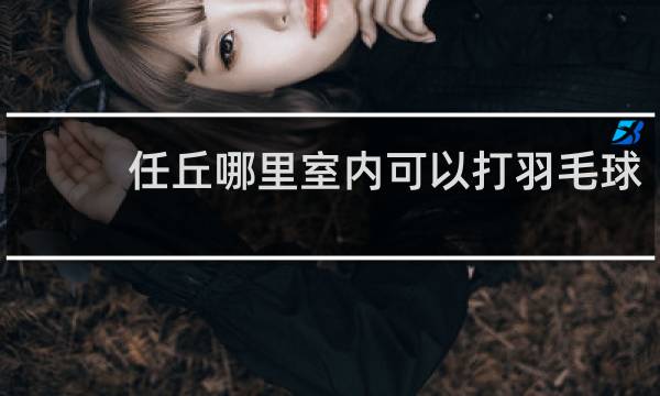 任丘哪里室内可以打羽毛球