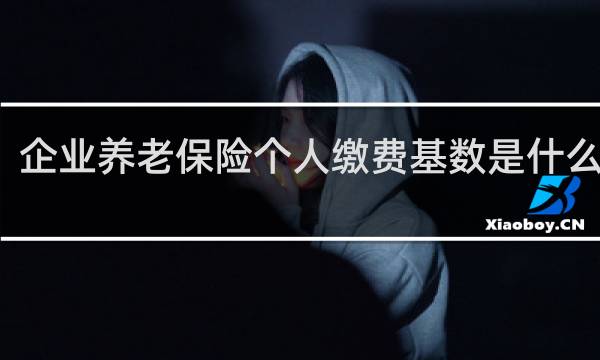 企业养老保险个人缴费基数是什么意思