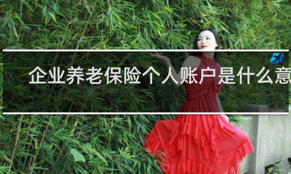 企业养老保险个人账户是什么意思