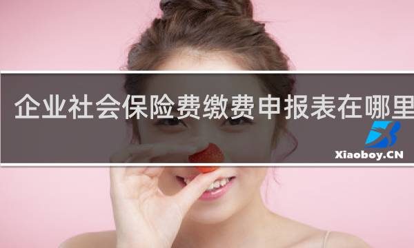 企业社会保险费缴费申报表在哪里打印图片