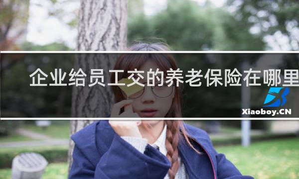 企业给员工交的养老保险在哪里查图片