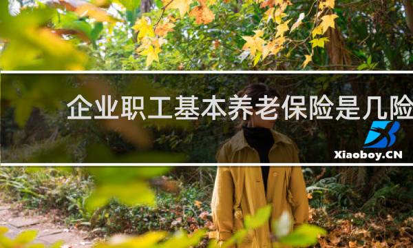企业职工基本养老保险是几险