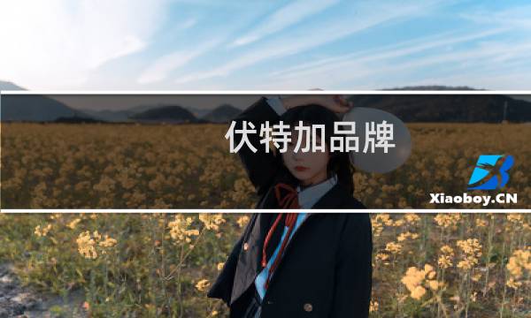 伏特加品牌