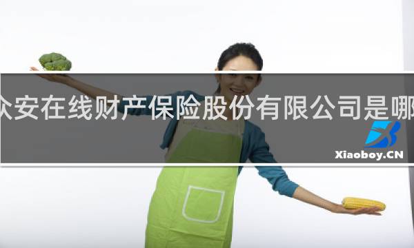 众安在线财产保险股份有限公司是哪个网贷