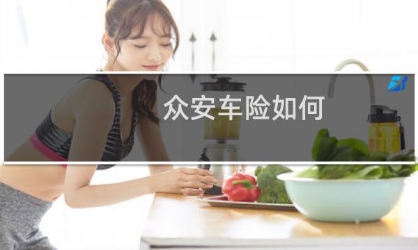众安车险如何