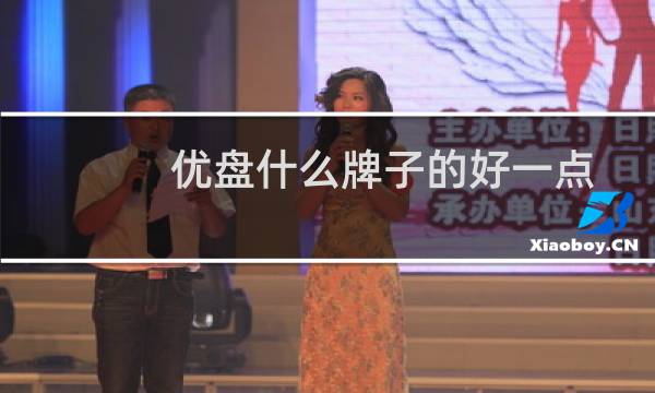 优盘什么牌子的好一点(优盘什么牌子质量好)