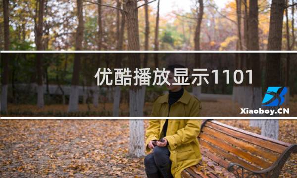 优酷播放显示11010（优酷代码11010什么意思）