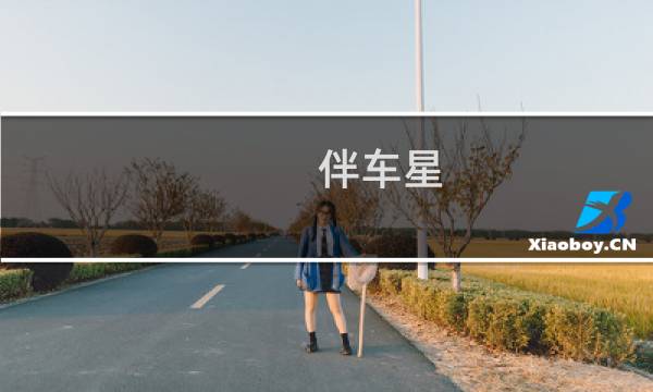 伴车星图片