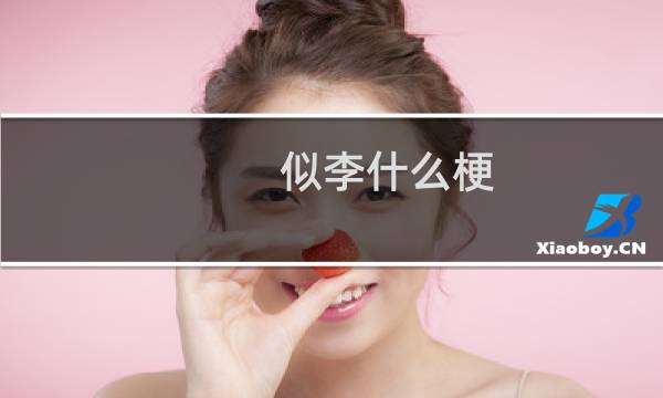 似李什么梗