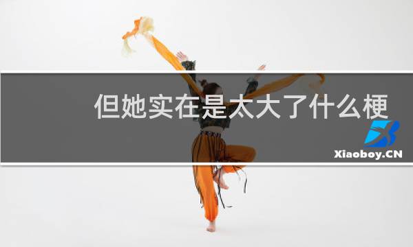 但她实在是太大了什么梗