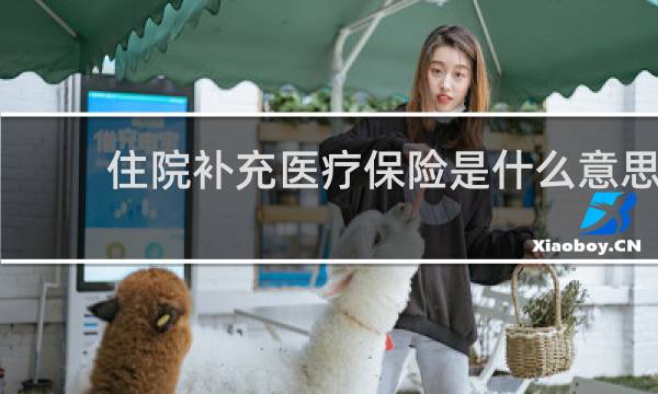 住院补充医疗保险是什么意思