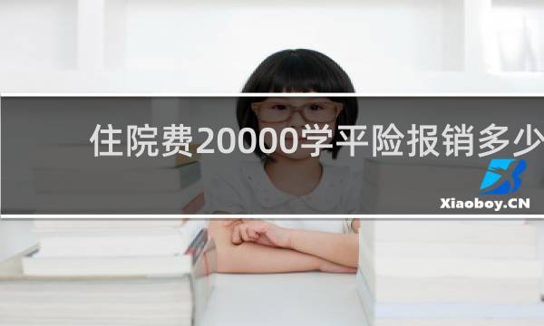 住院费20000学平险报销多少图片