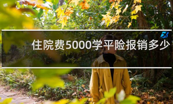 住院费5000学平险报销多少图片