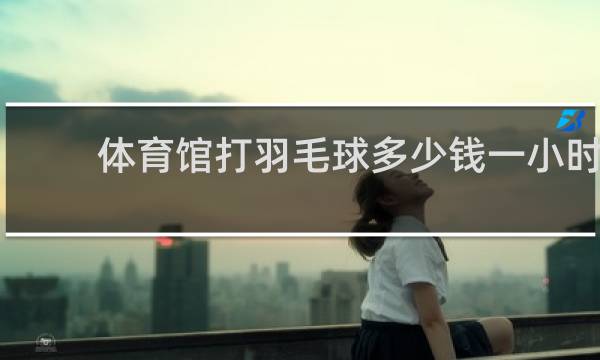 体育馆打羽毛球多少钱一小时