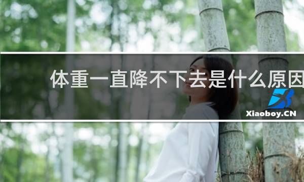 体重一直降不下去是什么原因