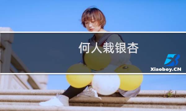 何人栽银杏