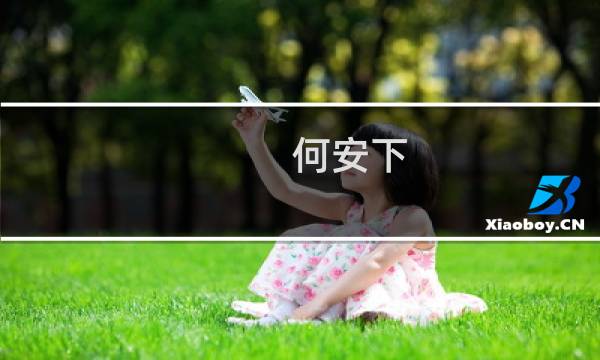 何安下图片