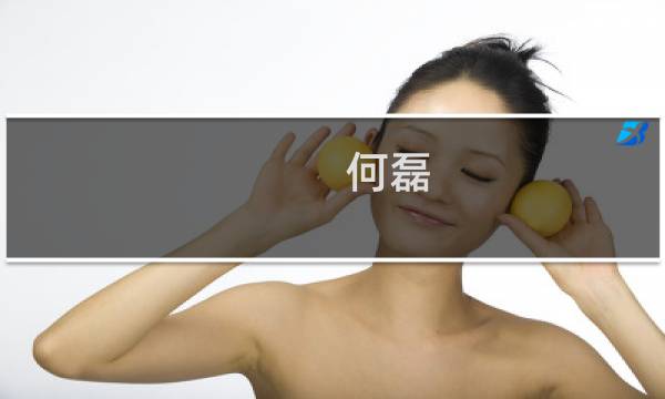何磊
