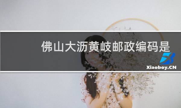 佛山大沥黄岐邮政编码是多少