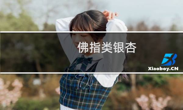 佛指类银杏