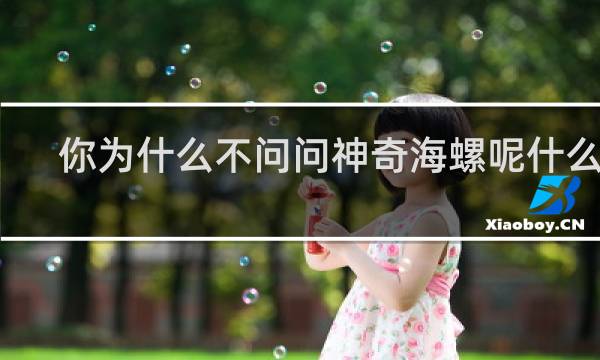 你为什么不问问神奇海螺呢什么梗？你为什么不问问神奇海螺呢是什么意思什么梗