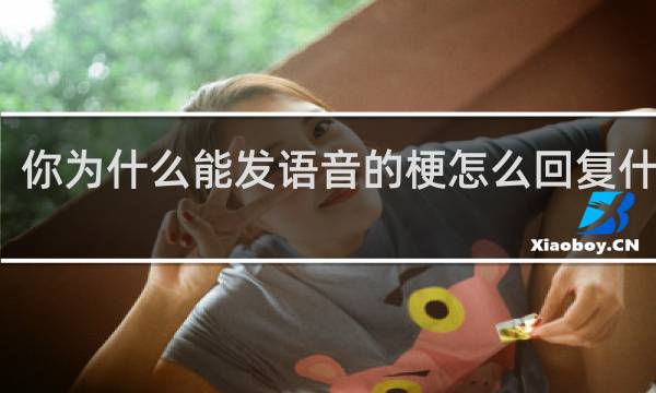 你为什么能发语音的梗怎么回复什么梗