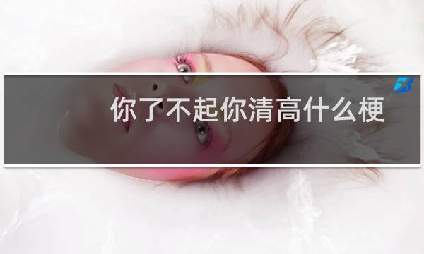 你了不起你清高什么梗？什么梗