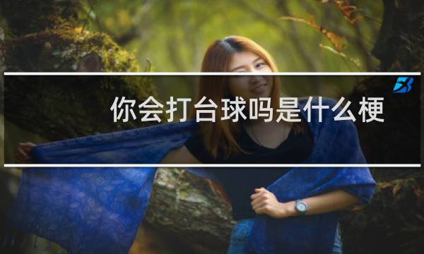你会打台球吗是什么梗