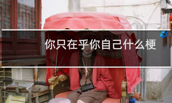 你只在乎你自己什么梗