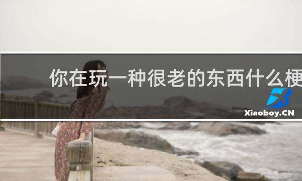 你在玩一种很老的东西什么梗
