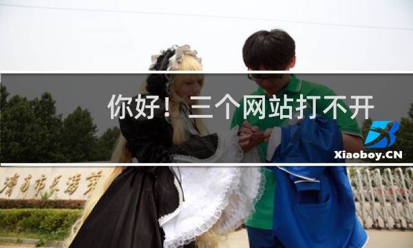 你好！三个网站打不开，帮我看一下，谢谢！