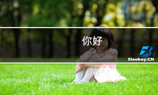 你好,我是你们的砖石代理