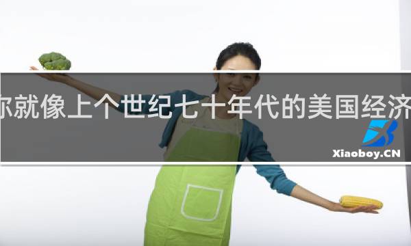 你就像上个世纪七十年代的美国经济什么梗