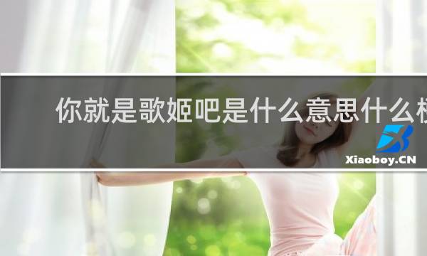 你就是歌姬吧是什么意思什么梗
