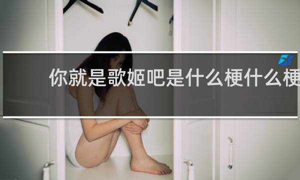 你就是歌姬吧是什么梗什么梗