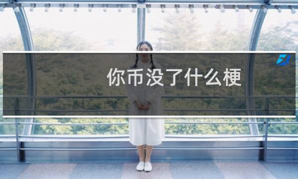 你币没了什么梗