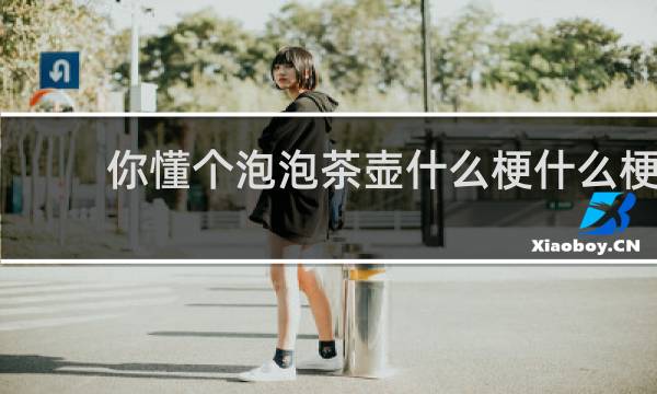 你懂个泡泡茶壶什么梗什么梗
