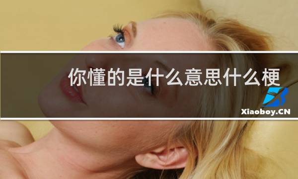 你懂的是什么意思什么梗