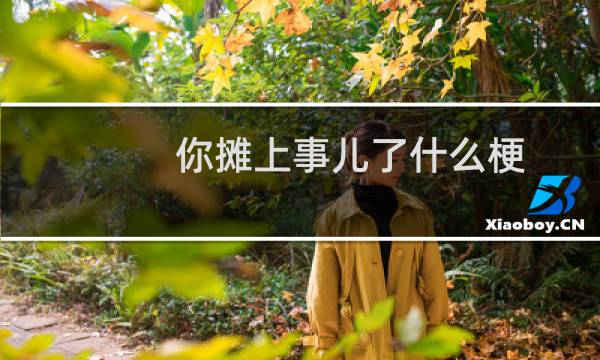 你摊上事儿了什么梗