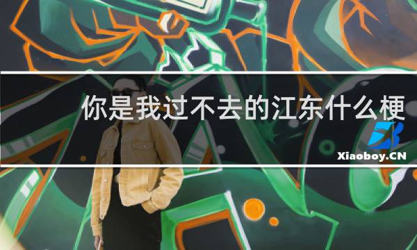 你是我过不去的江东什么梗，你是我过不去的江东是什么意思？什么梗