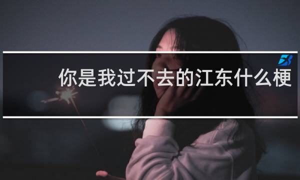 你是我过不去的江东什么梗