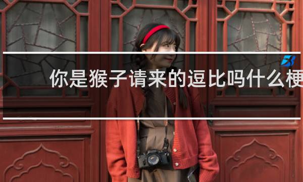 你是猴子请来的逗比吗什么梗