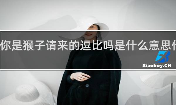 你是猴子请来的逗比吗是什么意思什么梗